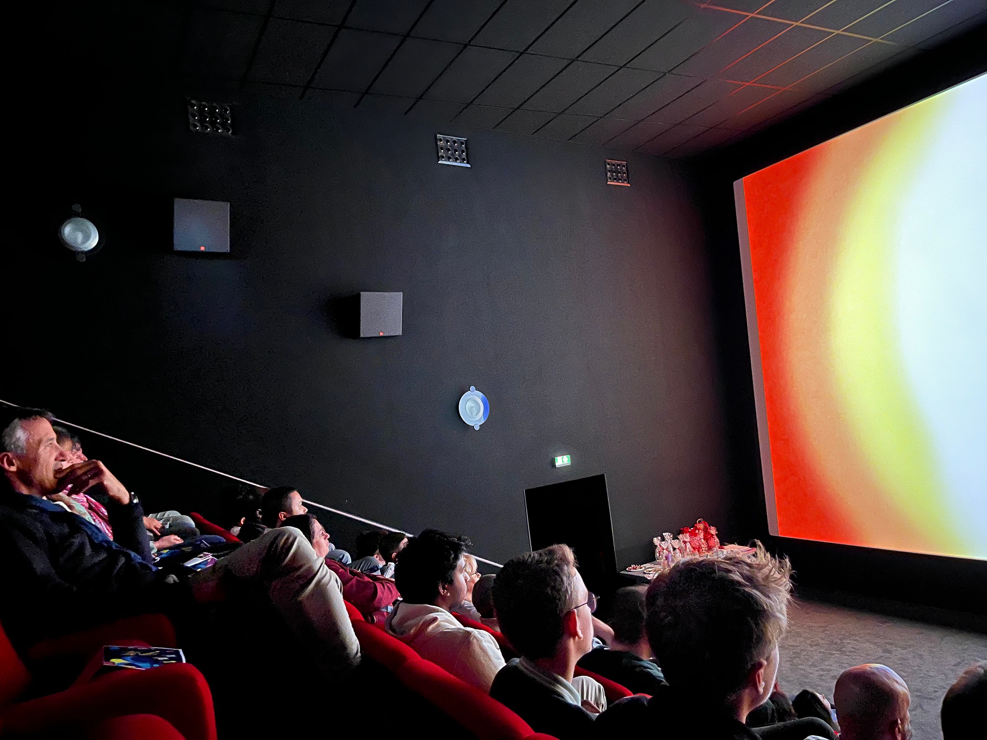 Public in the cinema room